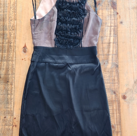 🎁BCBG MAXAZRIA dress - Picture 4 of 15